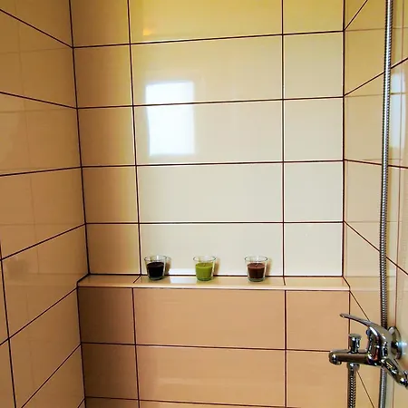 Apartment Gavric *